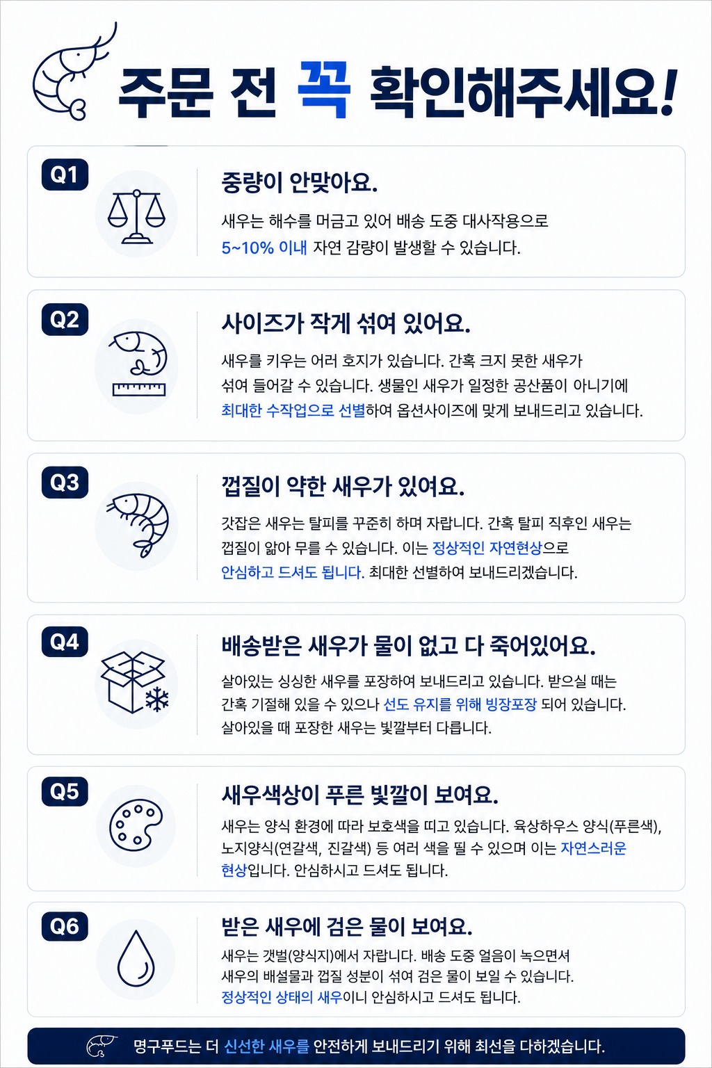 '오픈 특가' 국산 제철 활 흰다리새우 왕새우 1kg
