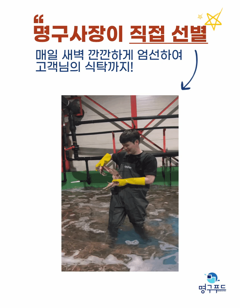 러시아 B급 비품 자숙 대게 3kg(2~4마리)
