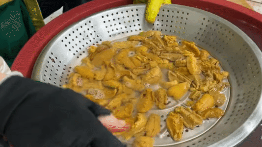 '오픈 마진 ZERO' 포항 자연산 성게알 우니 100g