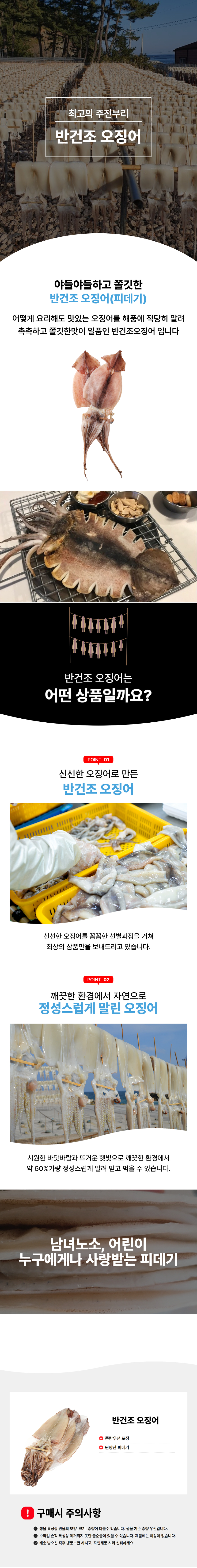 반건조 오징어 (피데기) 450~850g 5미