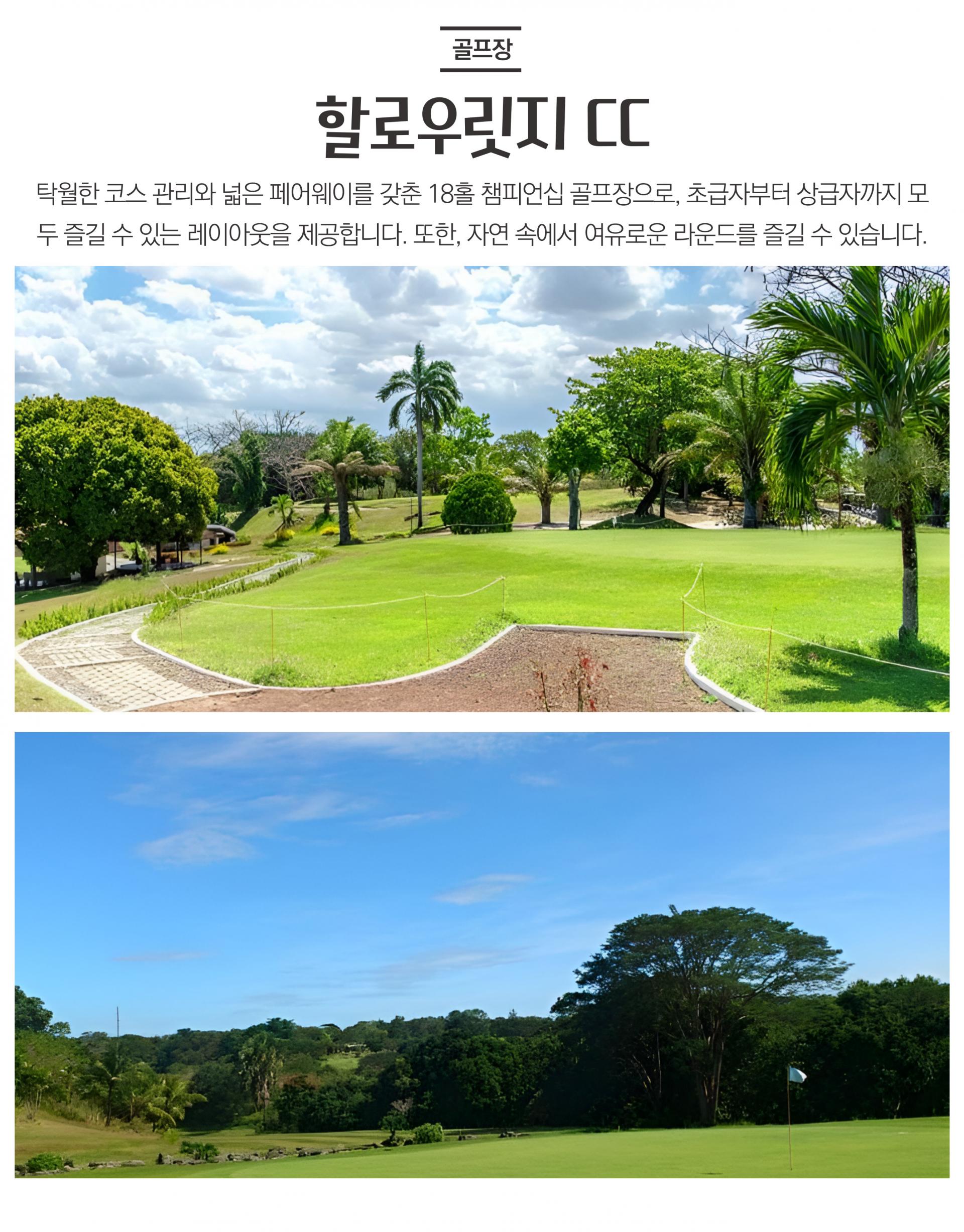 필리핀 마닐라 3박 5일 골프 투어 패키지