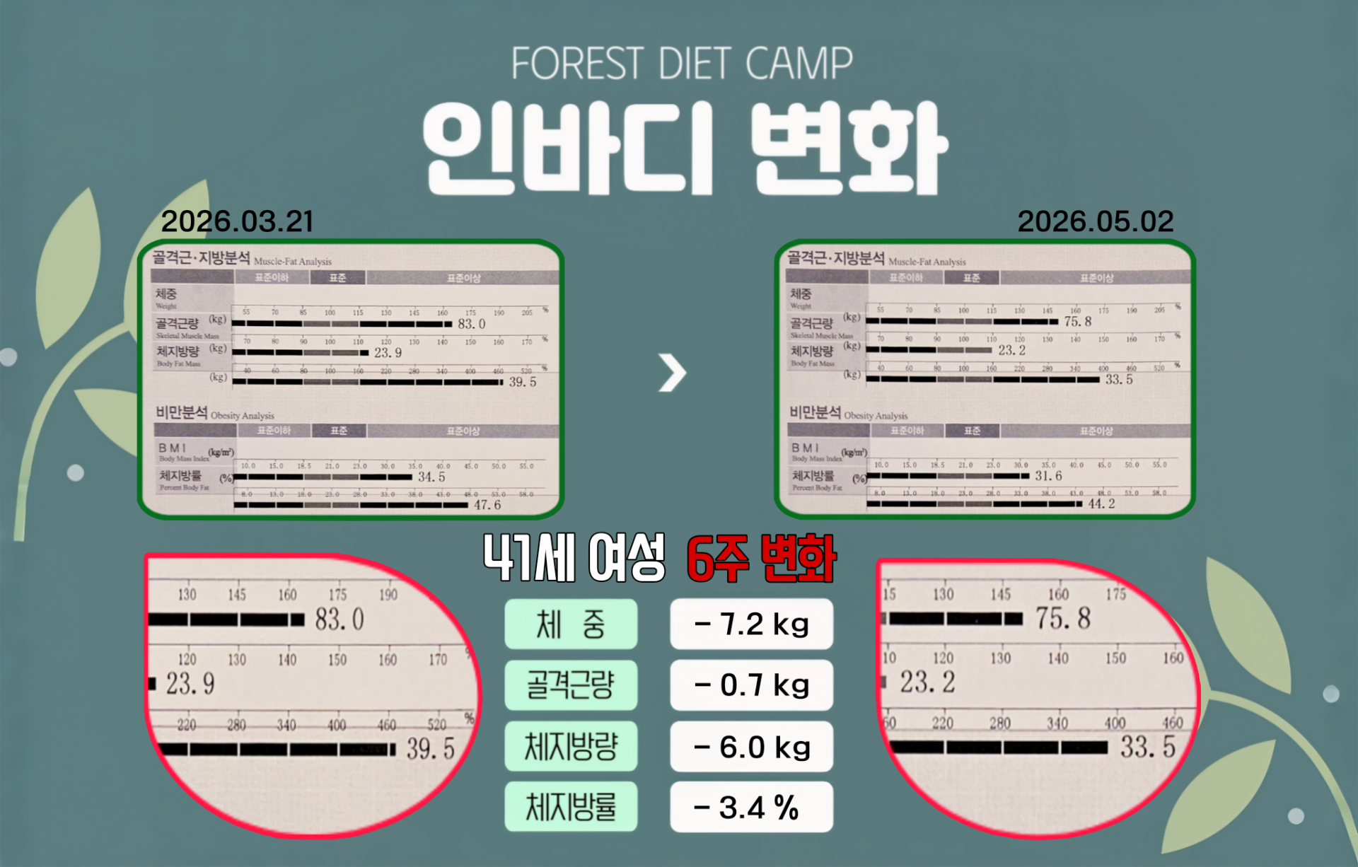 773db10b3b539.png