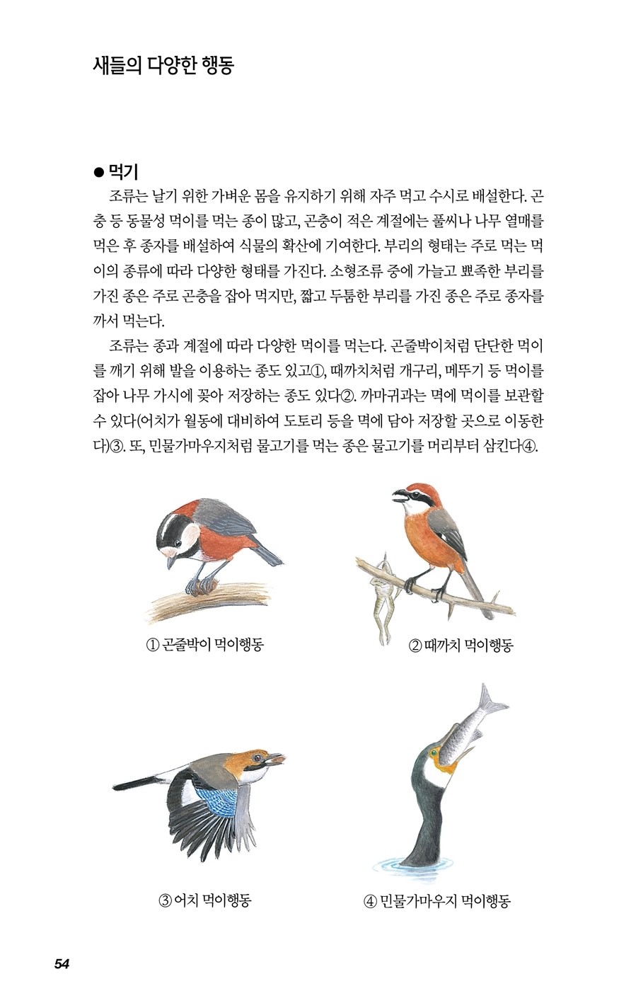 한국의 새 도감