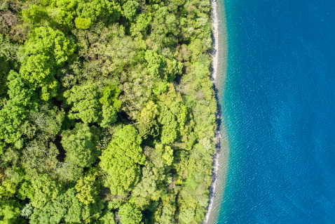 Resource Recovery and Circular Economy Projects
