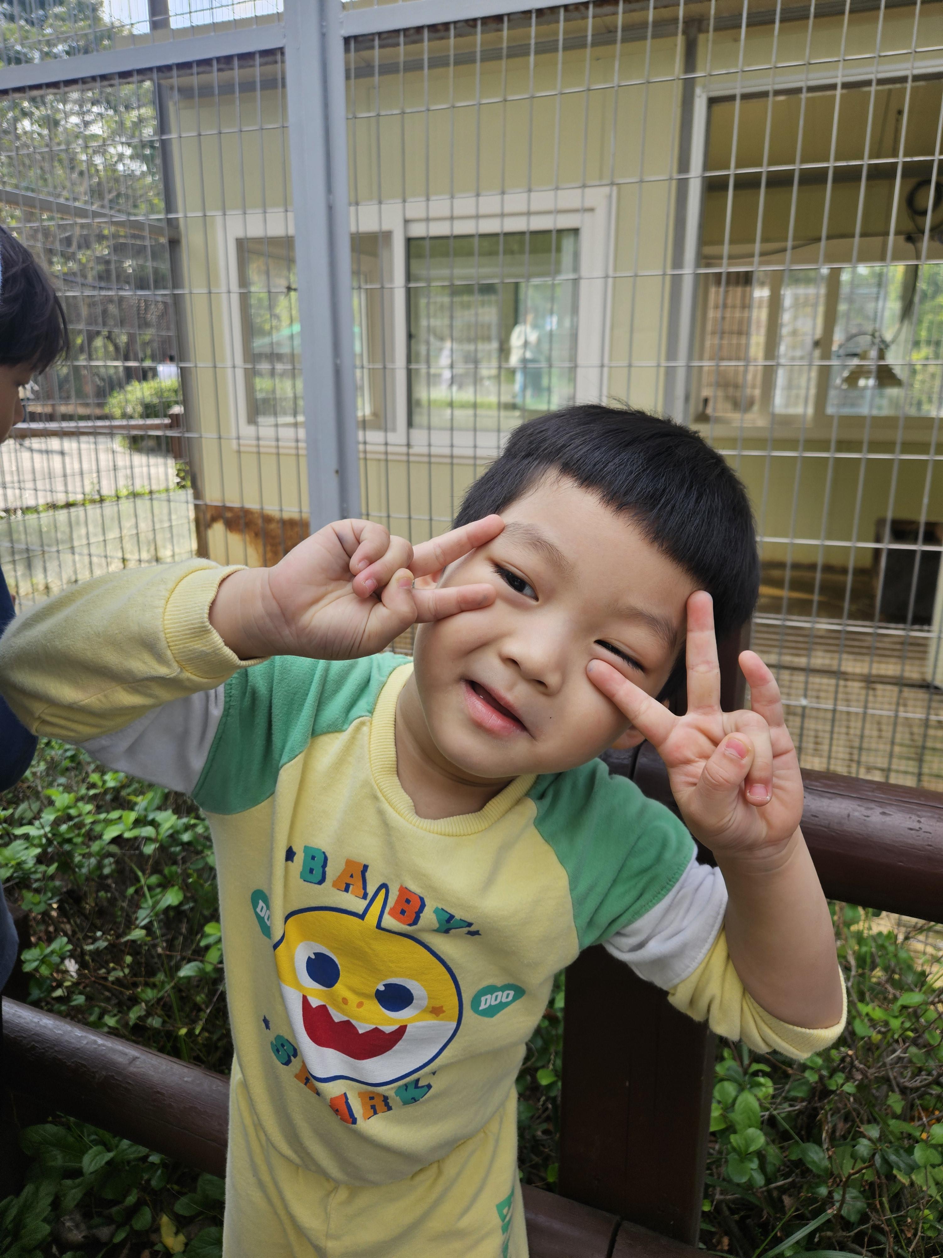 62cddf8604cf0.jpg