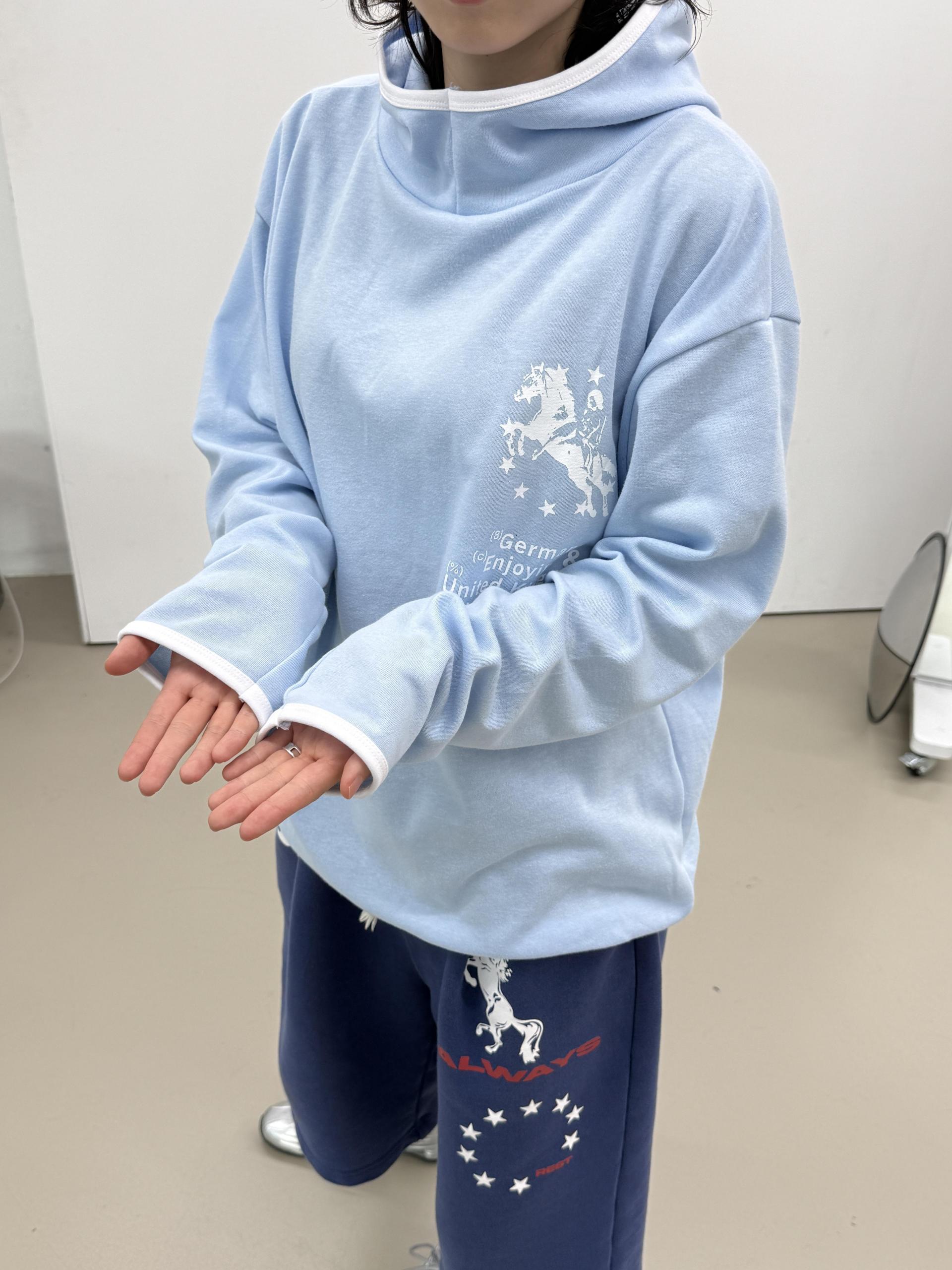 (UNISEX) Pony Graphic Hoodie