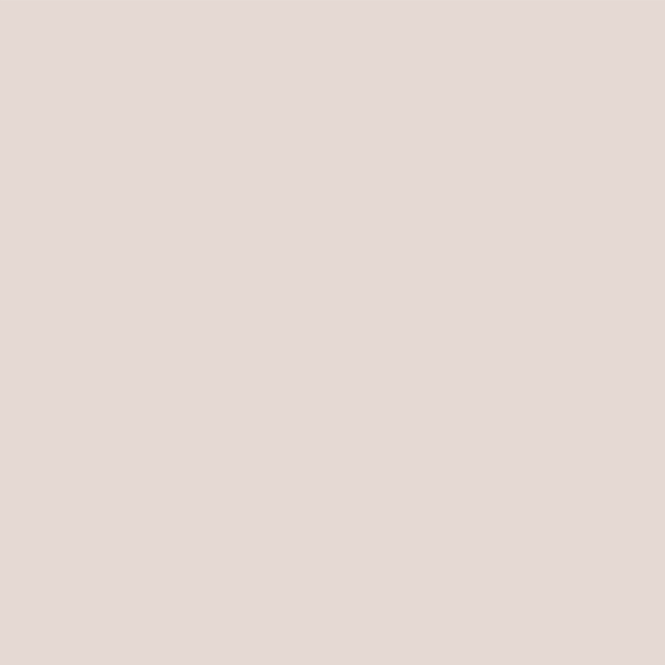 아틀리에 2:2