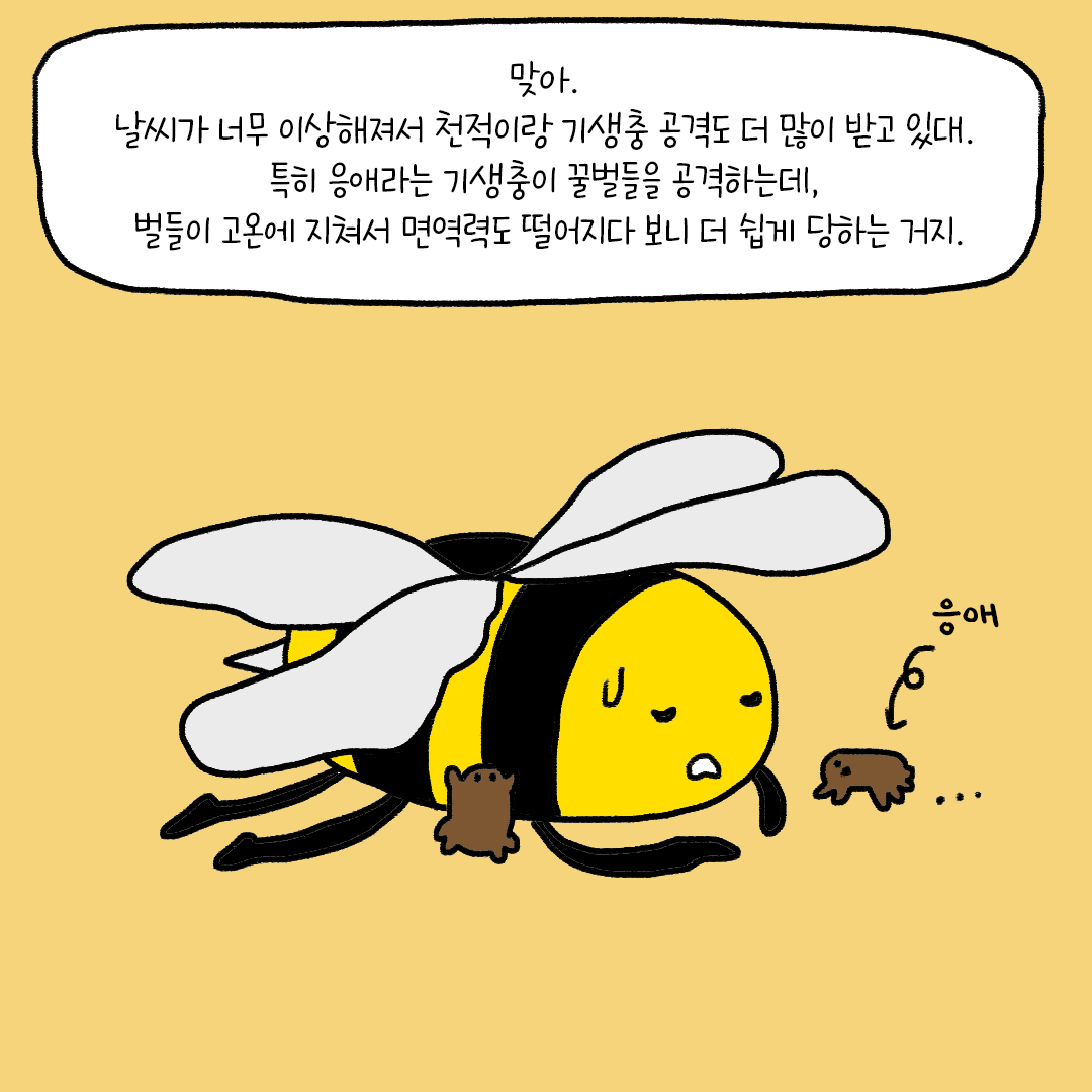 3e64b36bdeb40.png