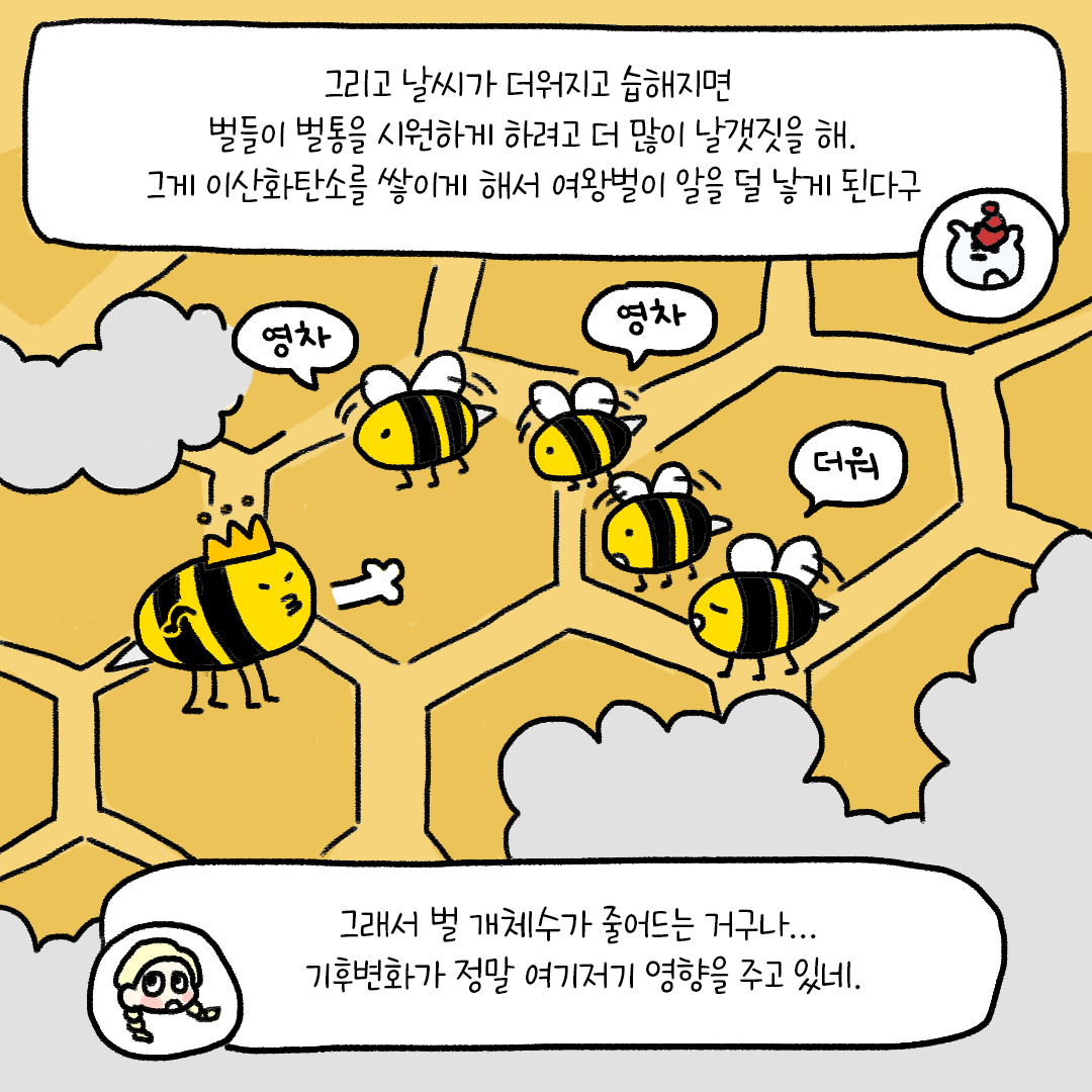 d56ccabd255cf.png