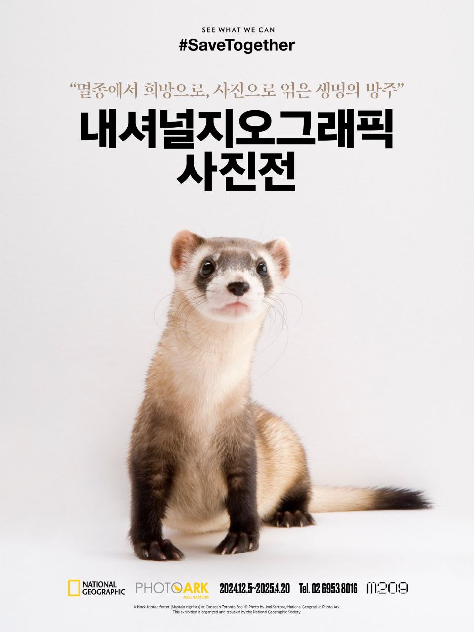f38f14d91db21.jpg