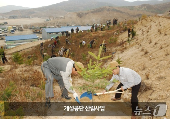 개성공단 산림사업 (산림청 제공.재판매 및 DB금지)/뉴스1