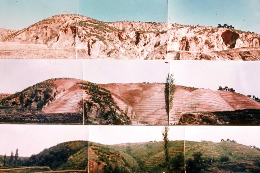 1973∼1977년 포항 영일만 산림 복구 사진
