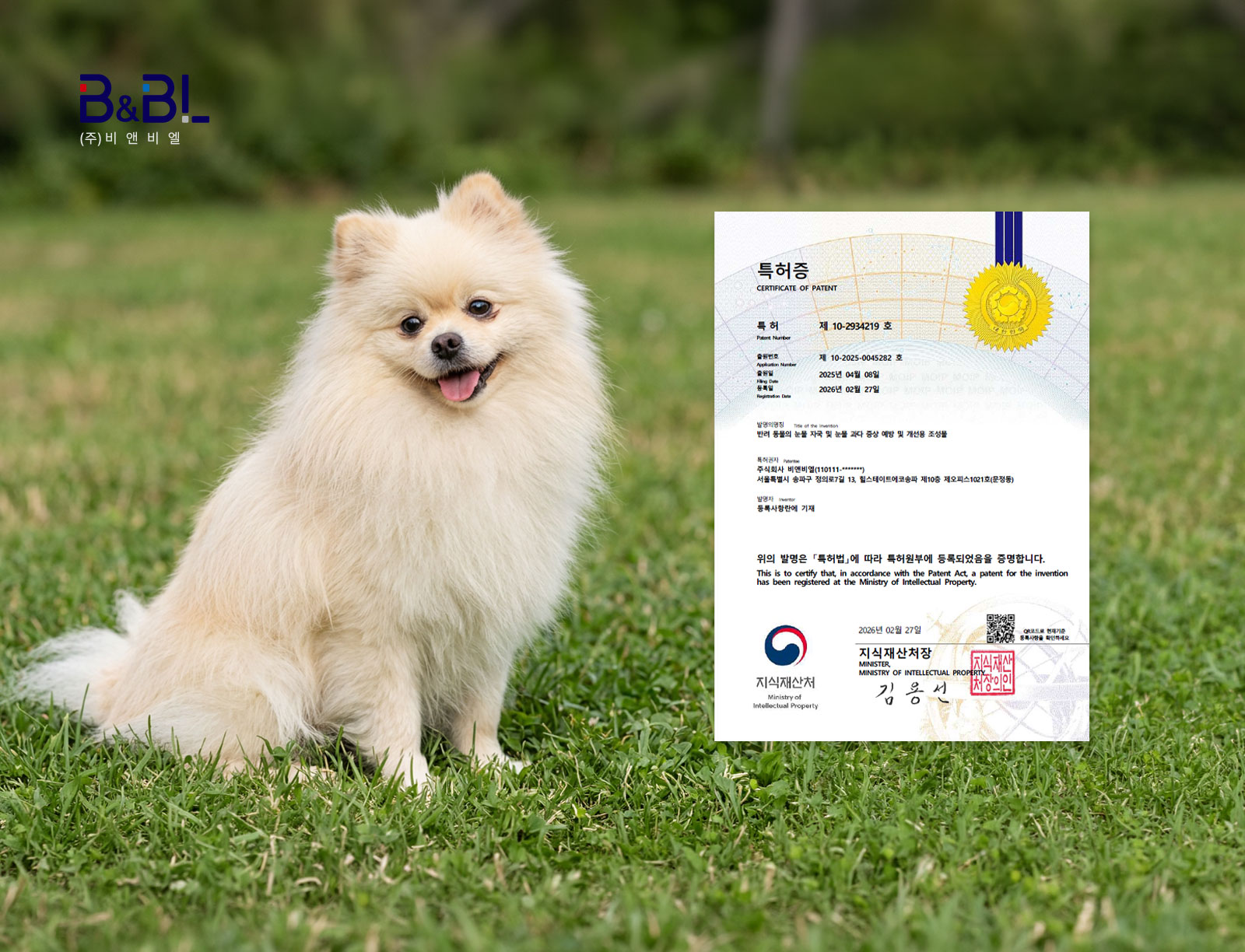 BNBL, a Functional Health Food Manufacturer, Registers Patent for "Composition for Preventing and Improving Tear Stains in Companion Animals"