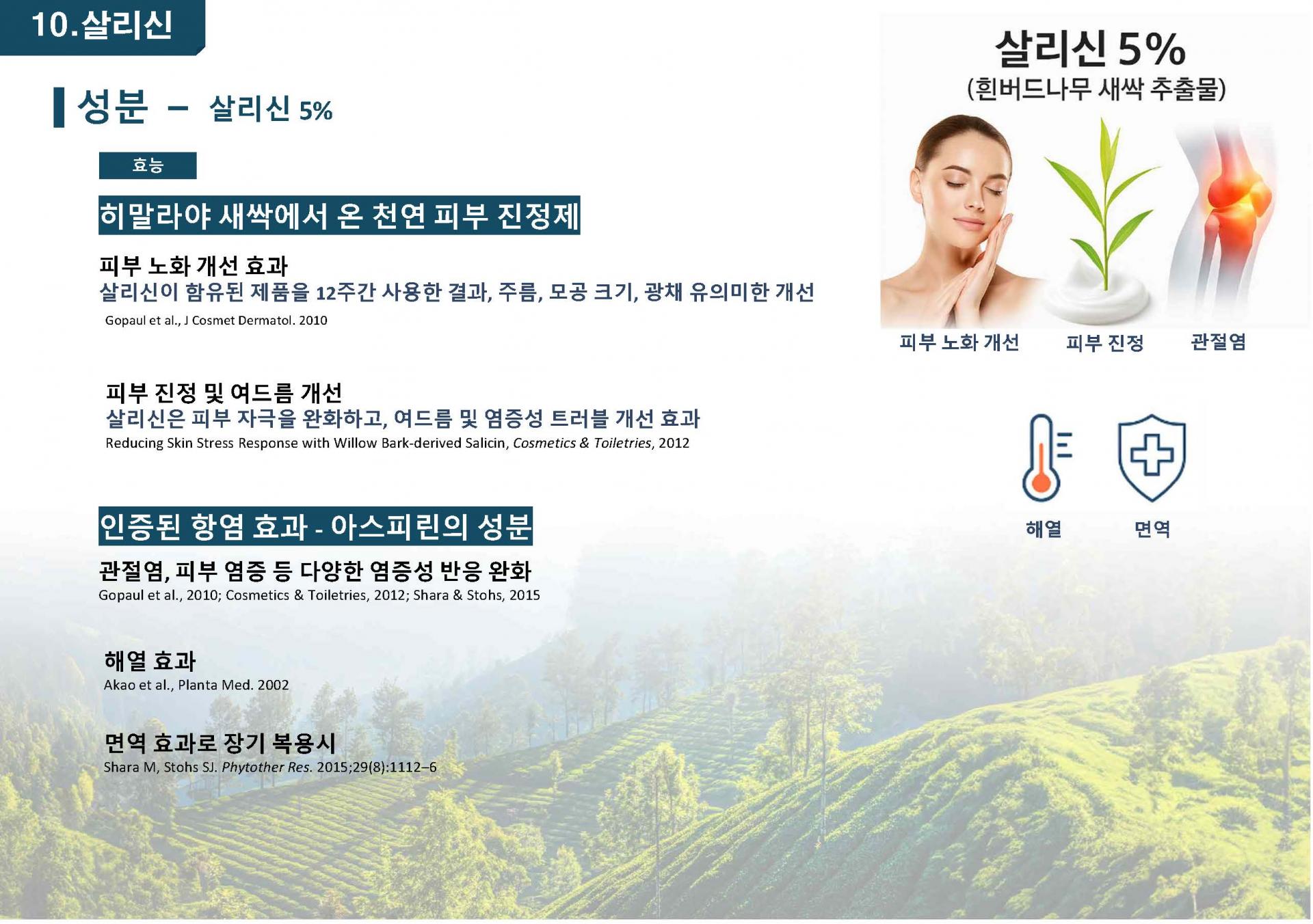 흰버드나무추출분말