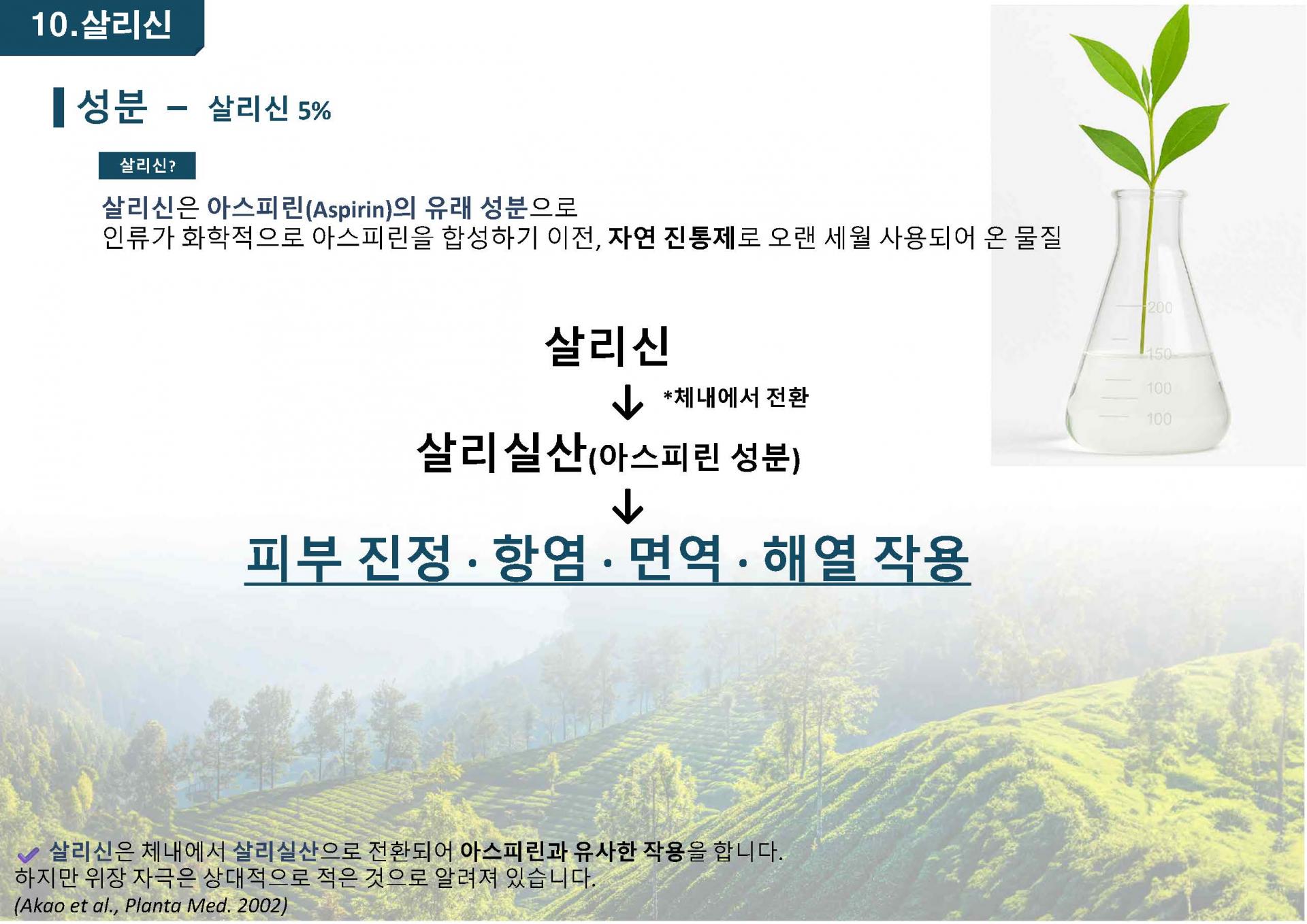 白柳树皮提取物粉