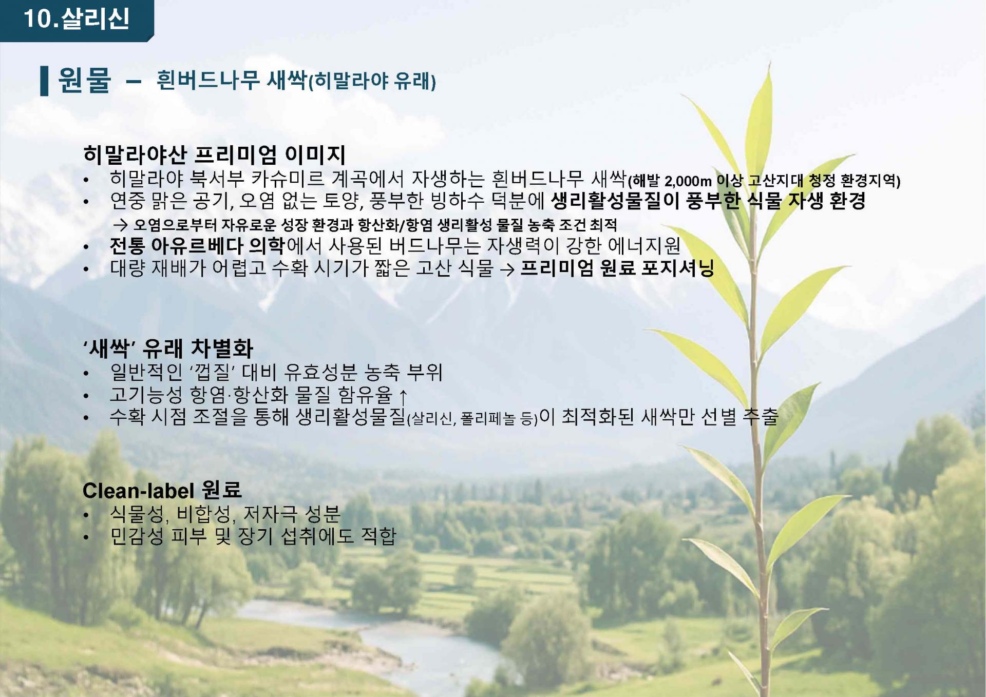 흰버드나무추출분말