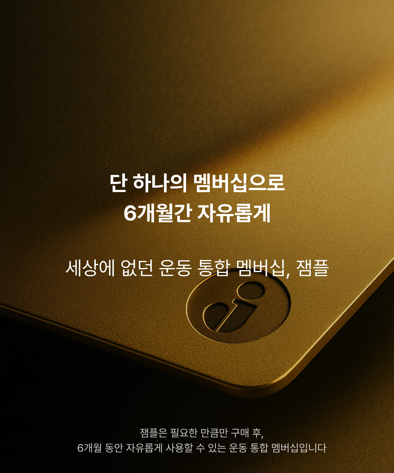 12f19ac206069.jpg