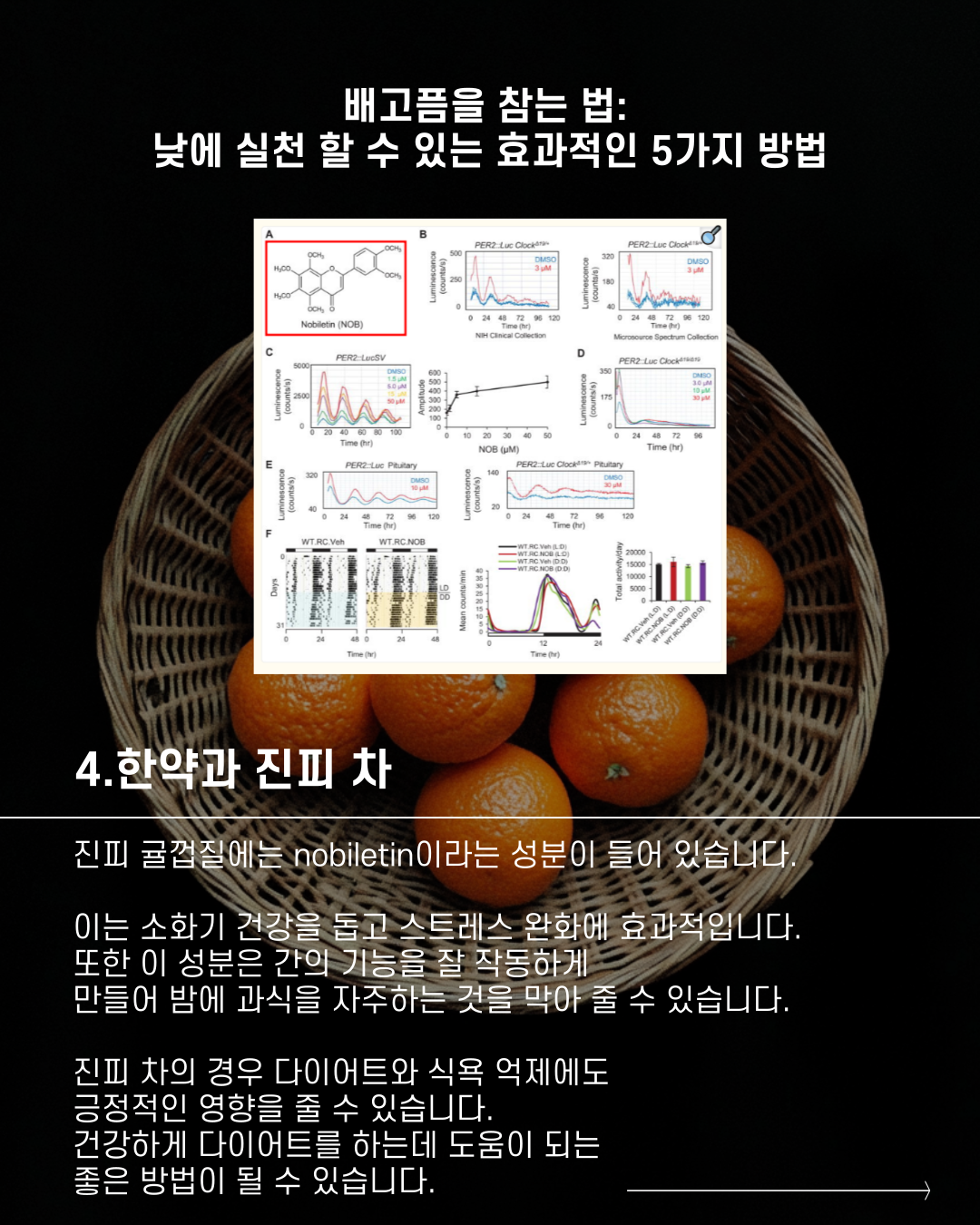 5592d68817f4a.png