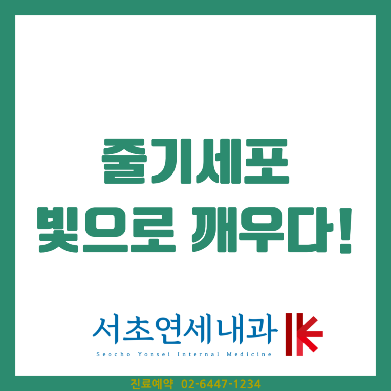 f04db355e572f.png