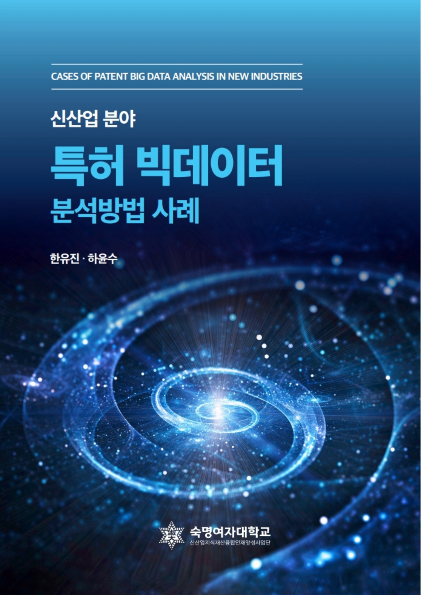 [판매중] 특허 빅데이터 분석방법