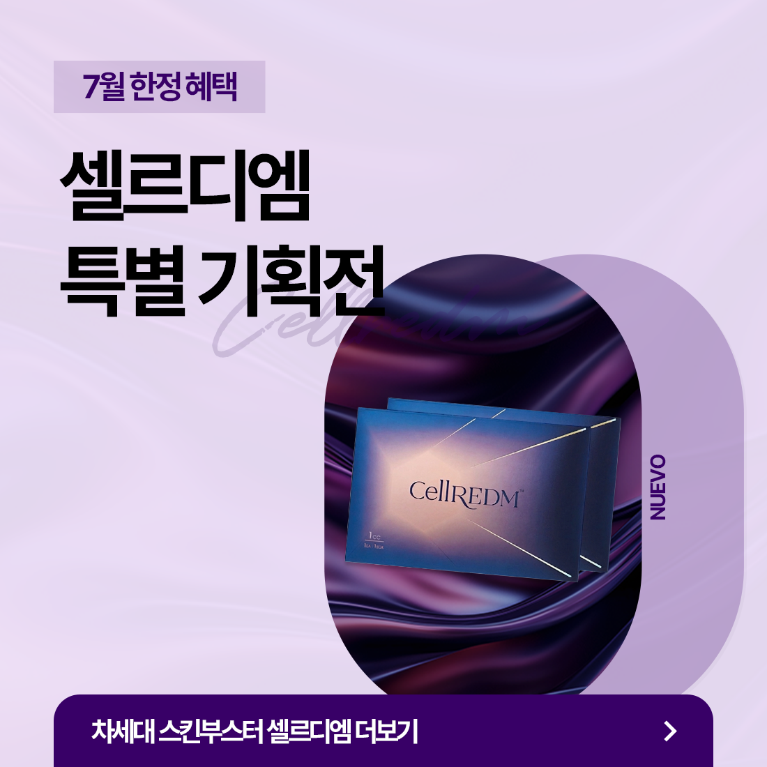 셀르디엠 특별기획전