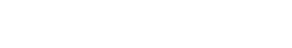 Filler(필러)
