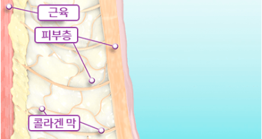 초기 온도 상승 단계