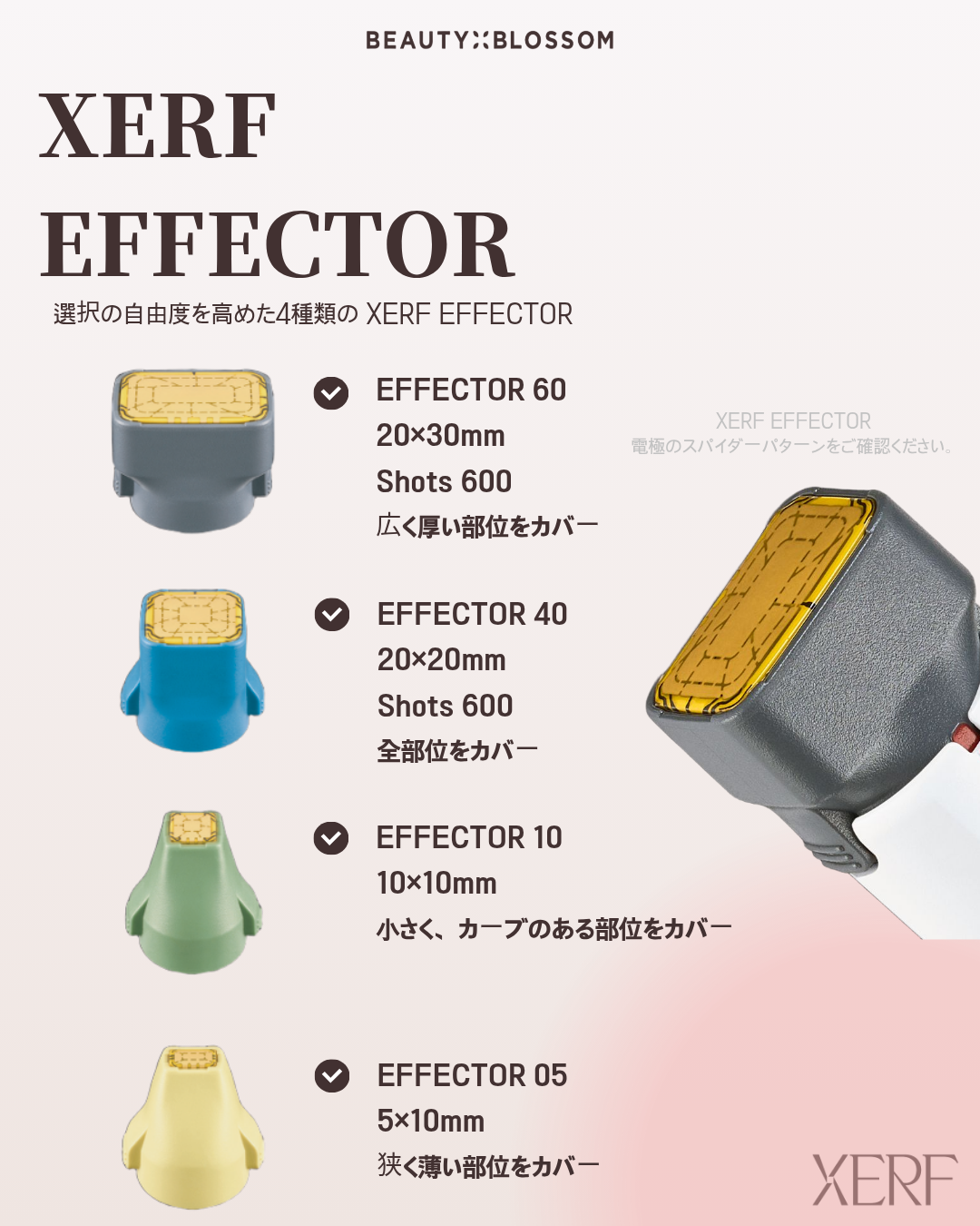 b70579ce975ed.png