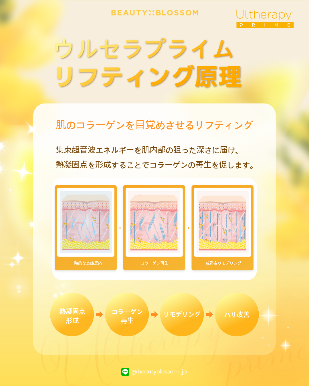 c8c1b18f93422.png