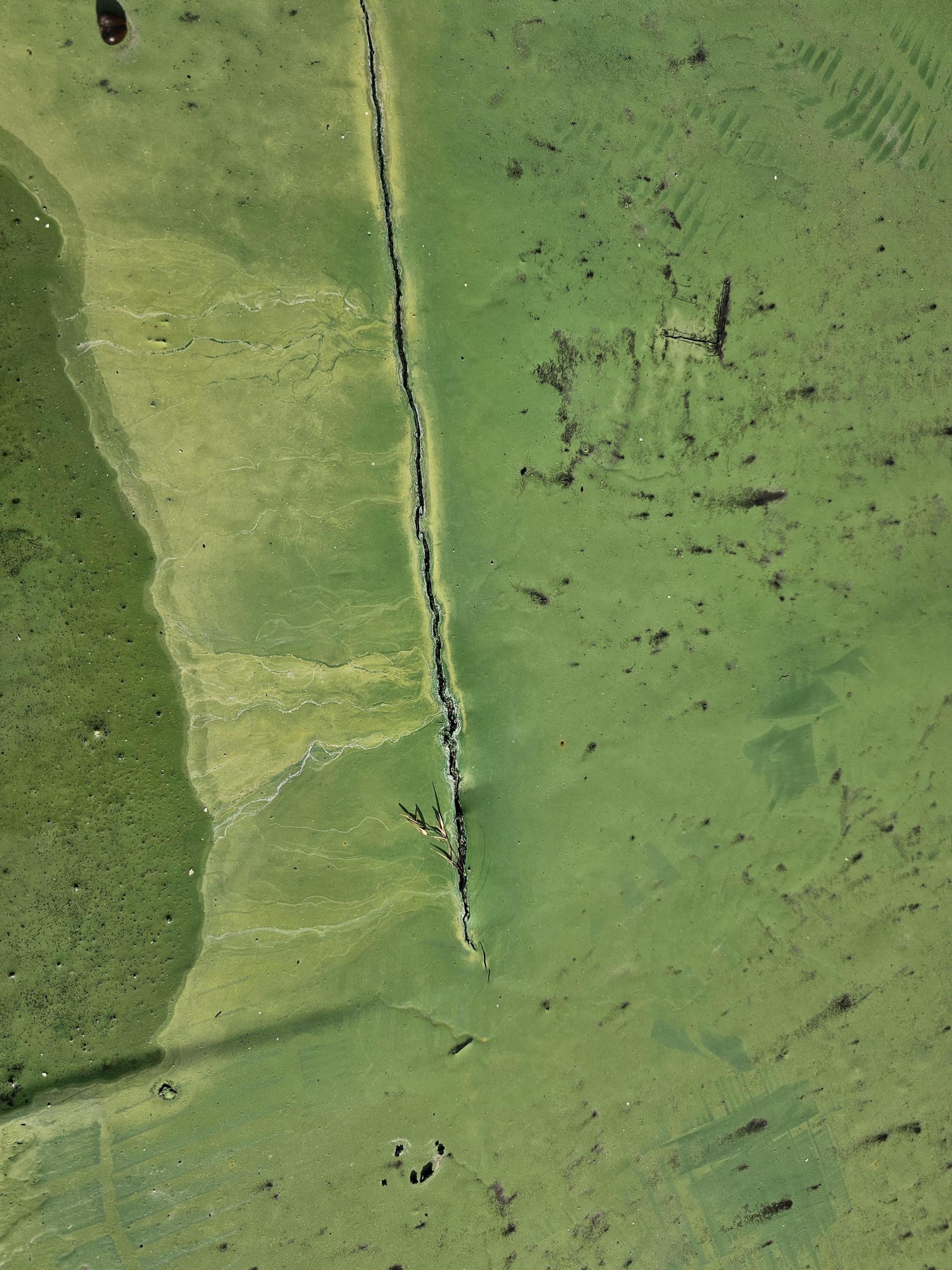 62ab975181c3e.jpg