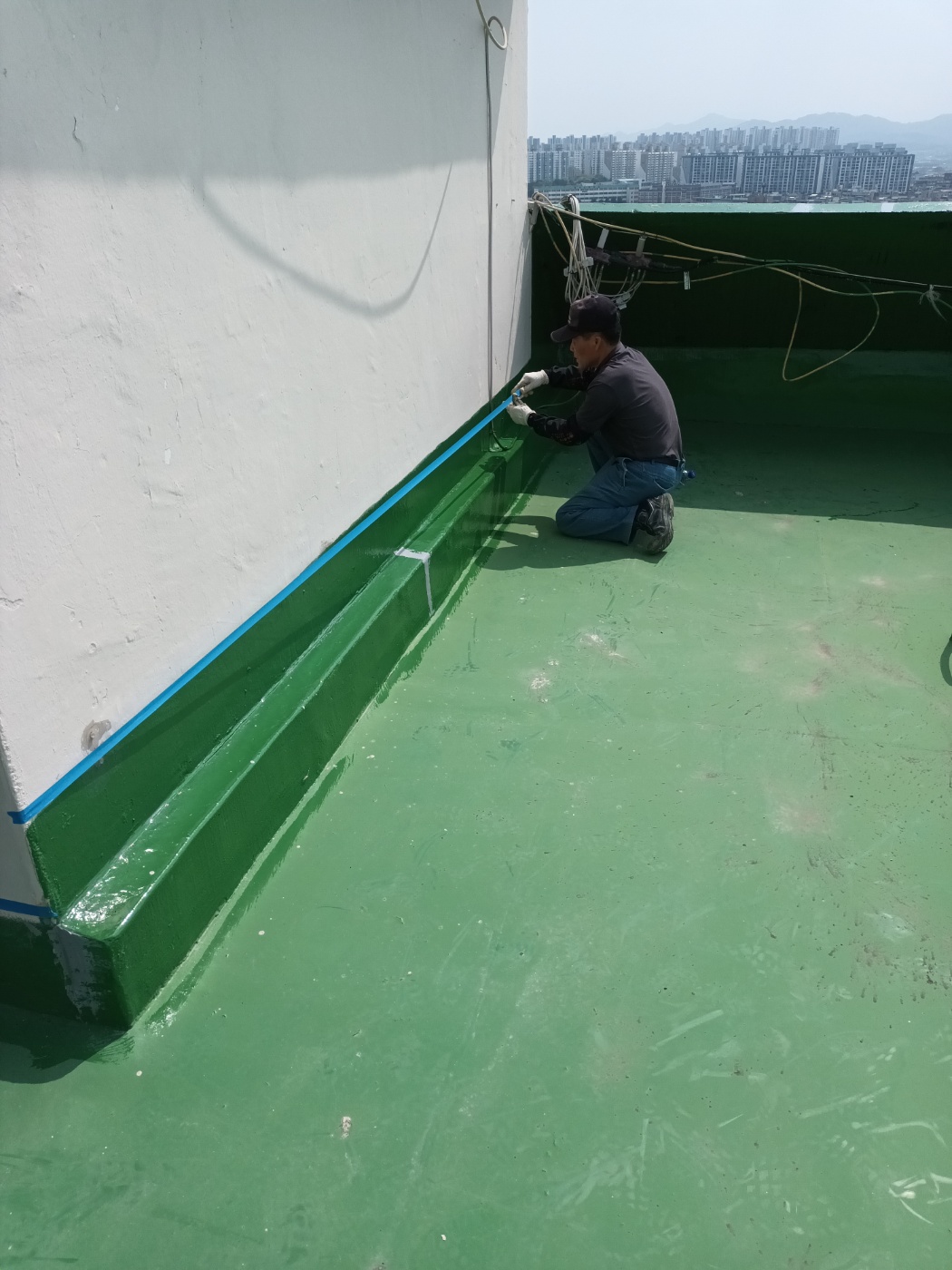 d1cd204e499b3.jpg