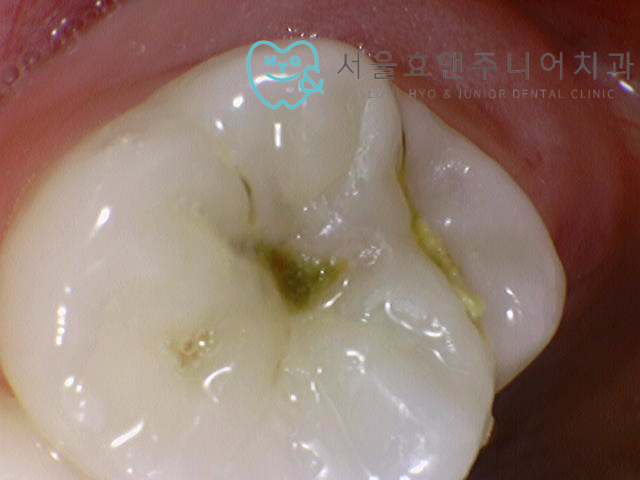6ec7e565156e8.jpg