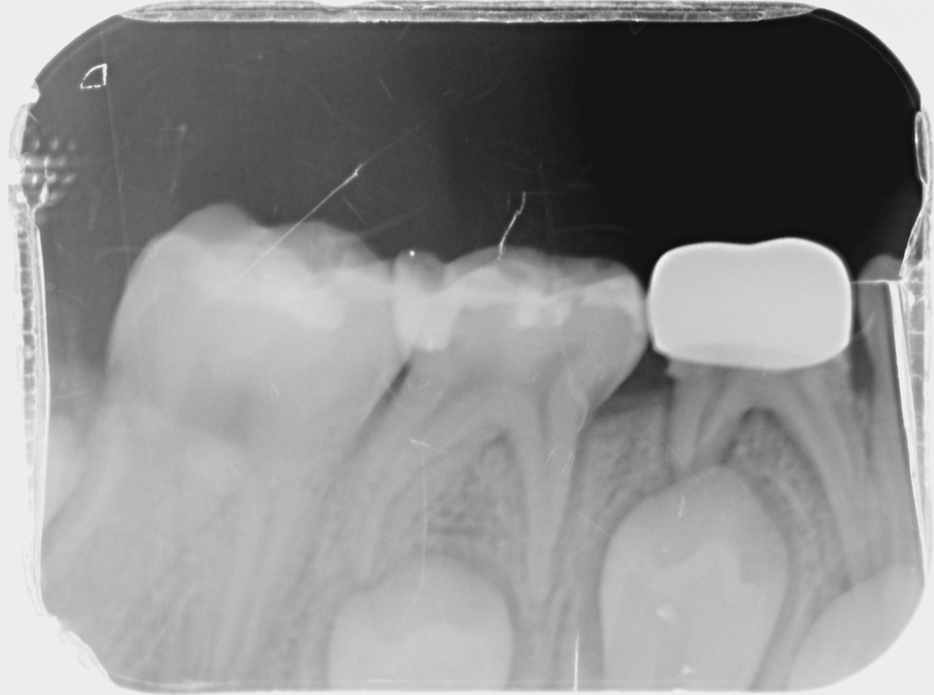 8b950b7195459.jpg