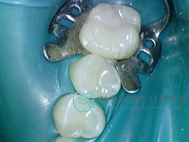 cd7a49c23ee9a.jpg