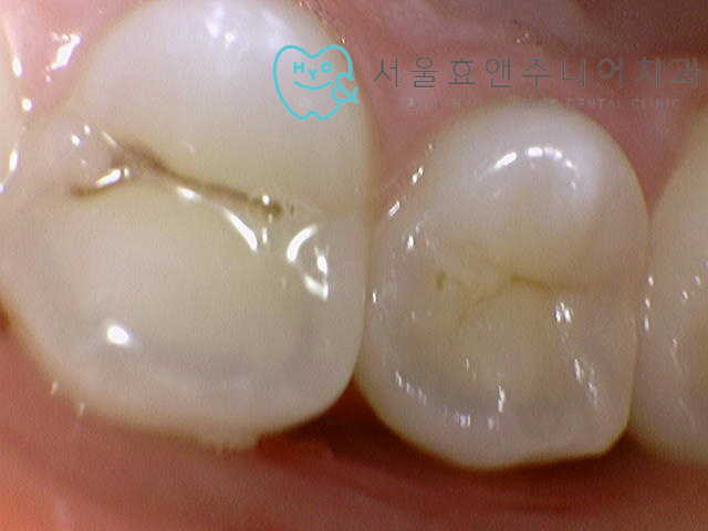 ea3d3540c2d69.jpg