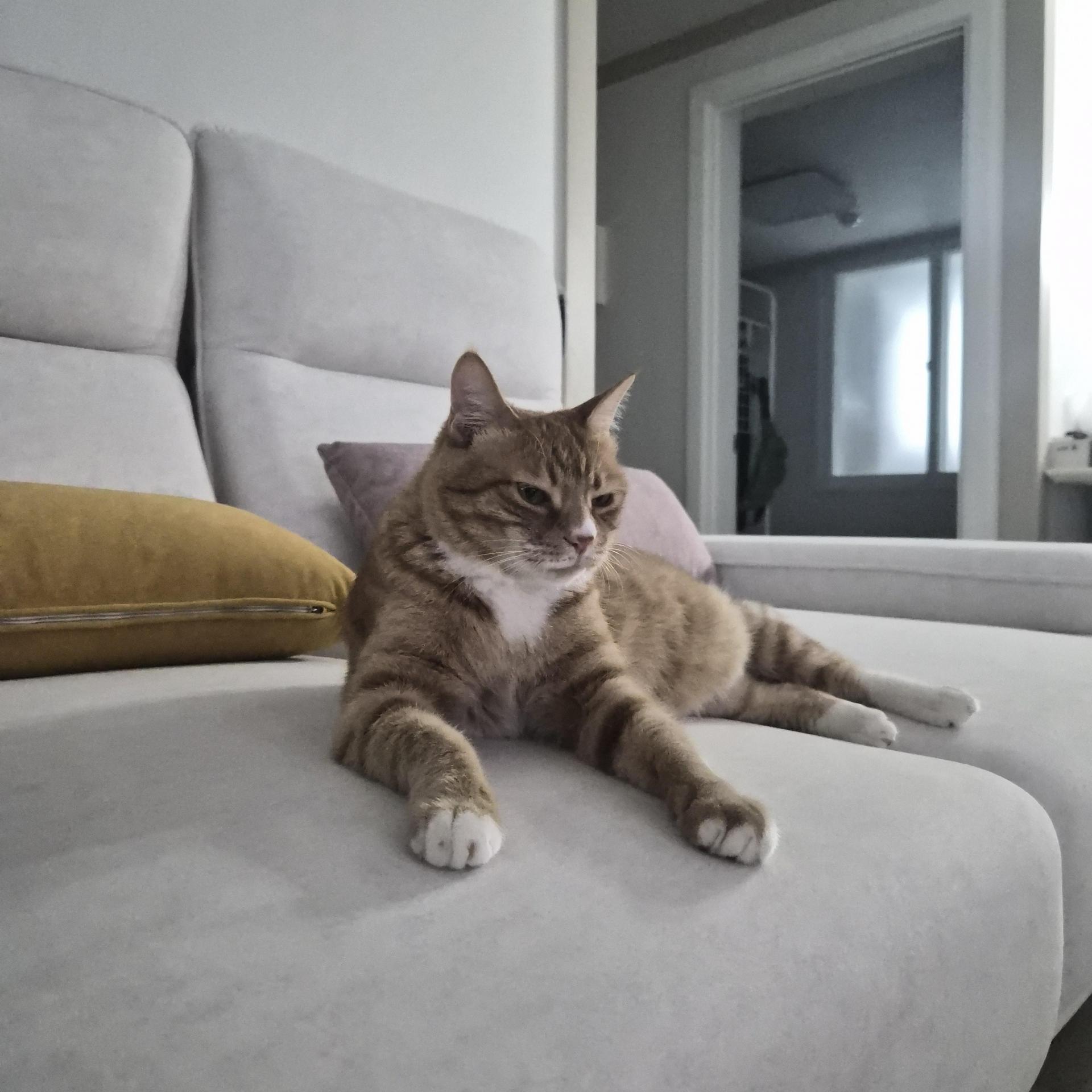 4a57610532de1.jpg