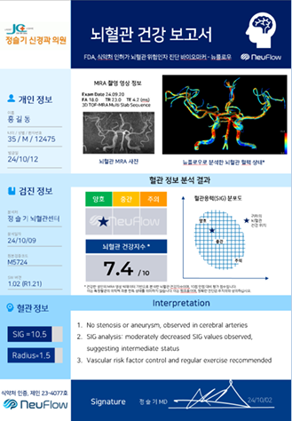 뇌혈관 건강보고서