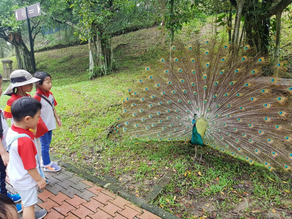 KakaoTalk_20191023_144217502.jpg