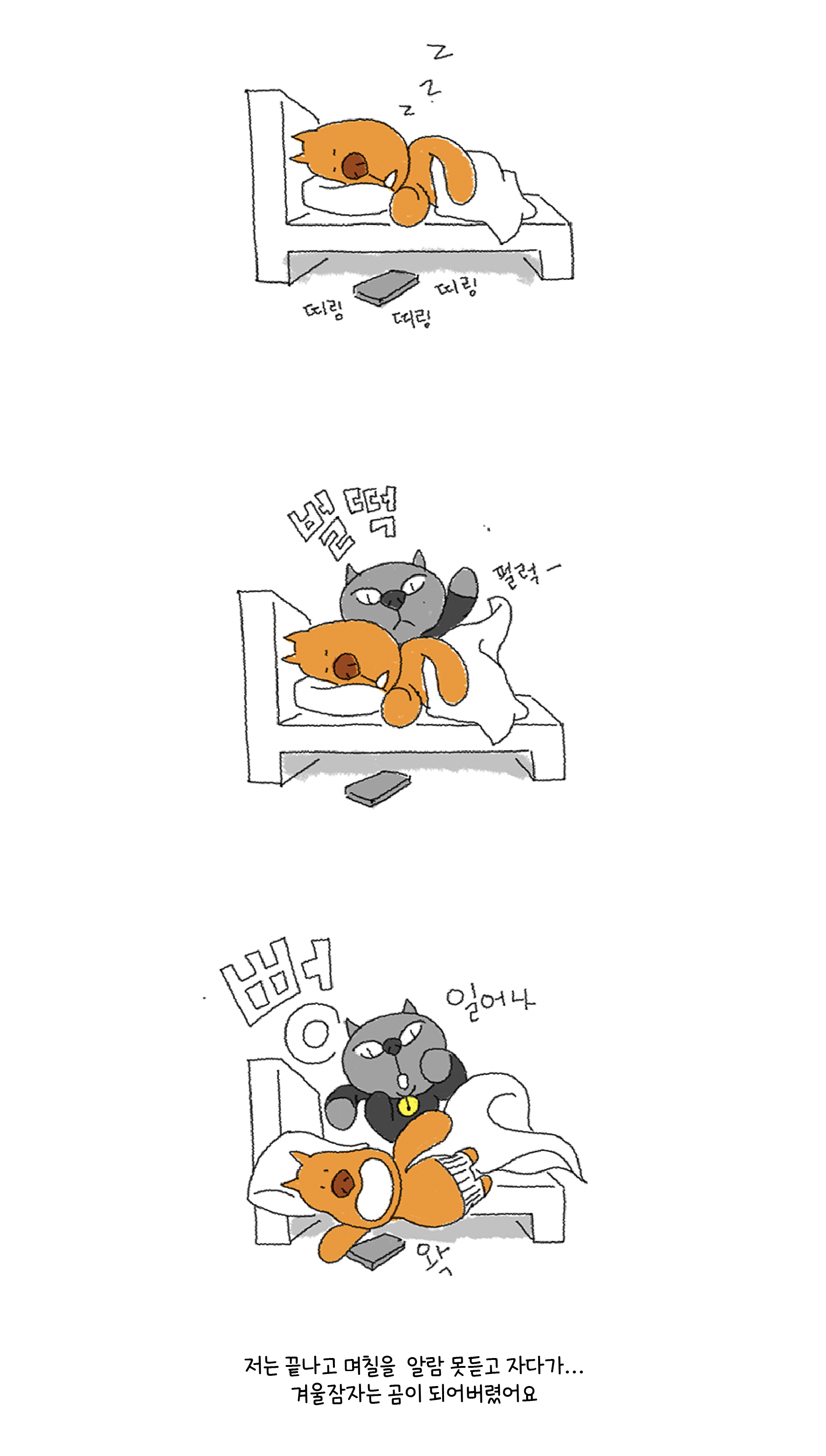 15b2590a7c8b6.png