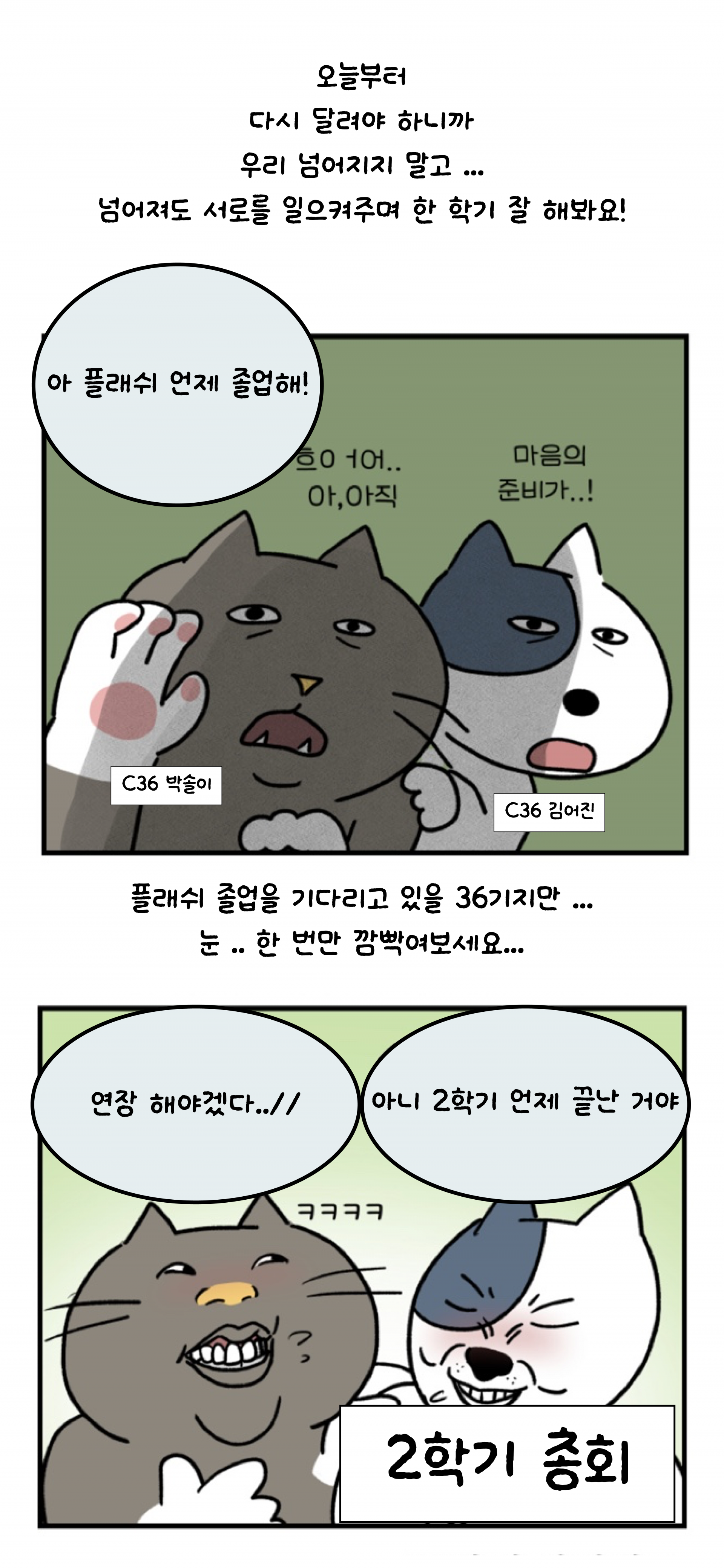326032fa43f08.png