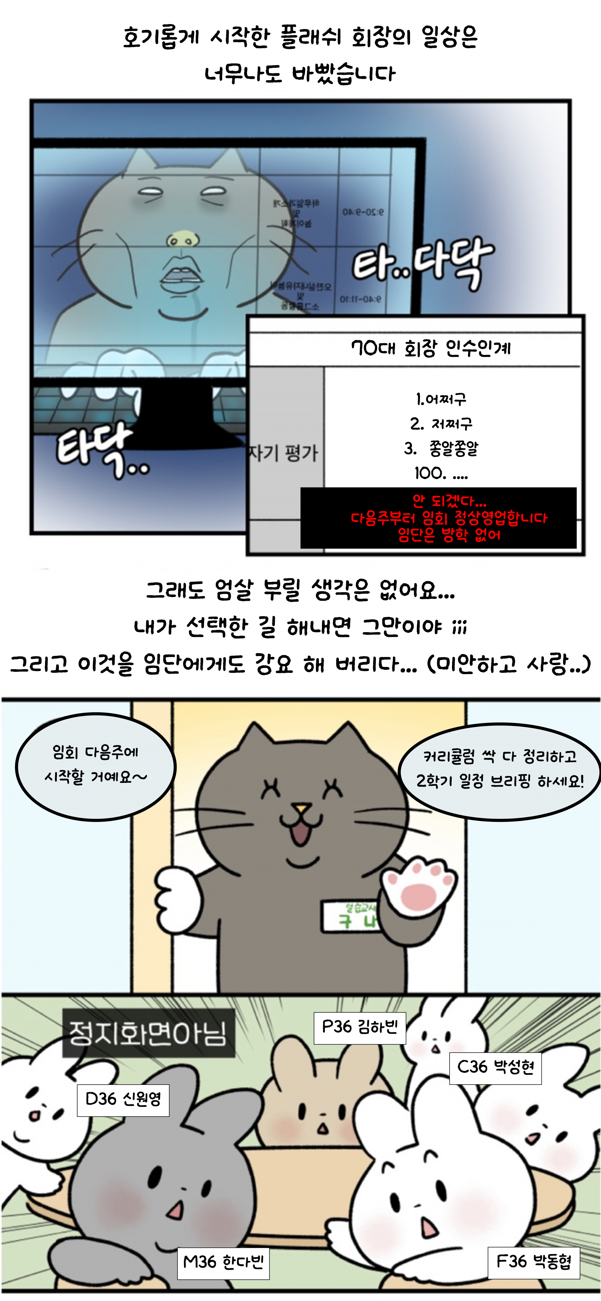 3e41f0928913a.png