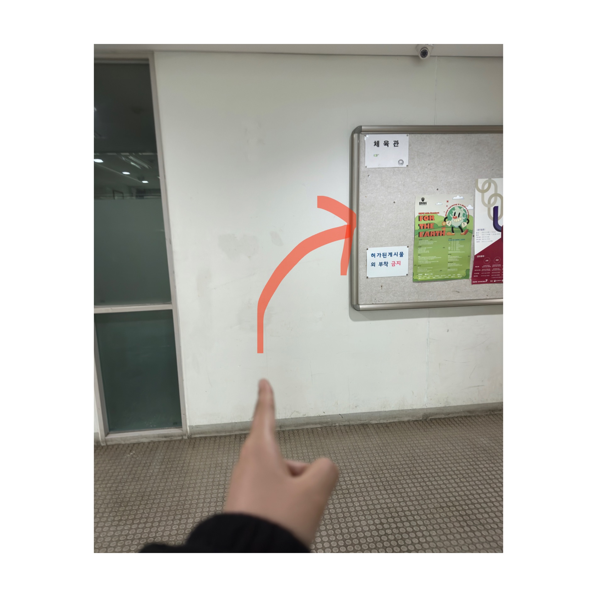 4ef7f0ba2f1cc.jpeg