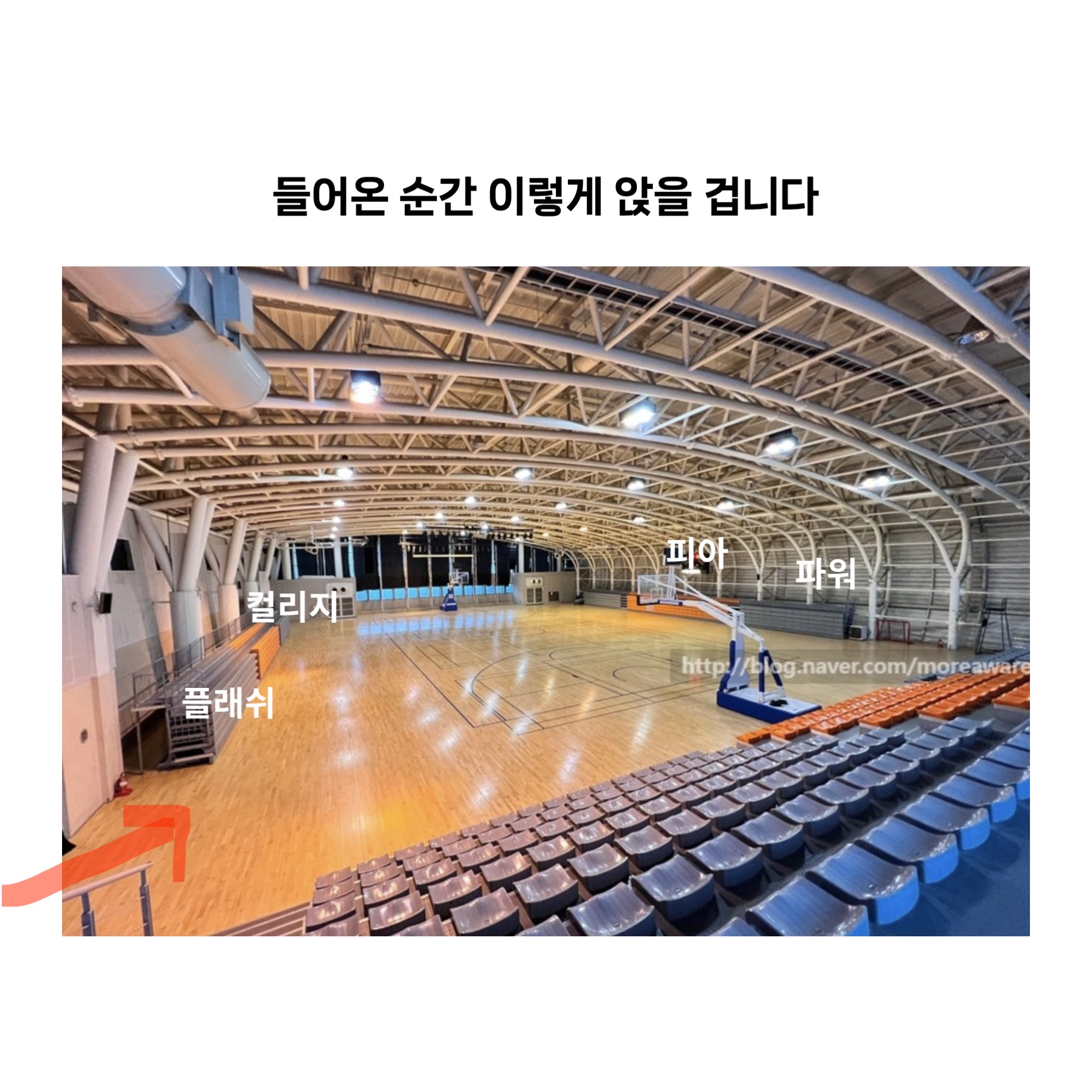 6a1218742cbba.jpeg