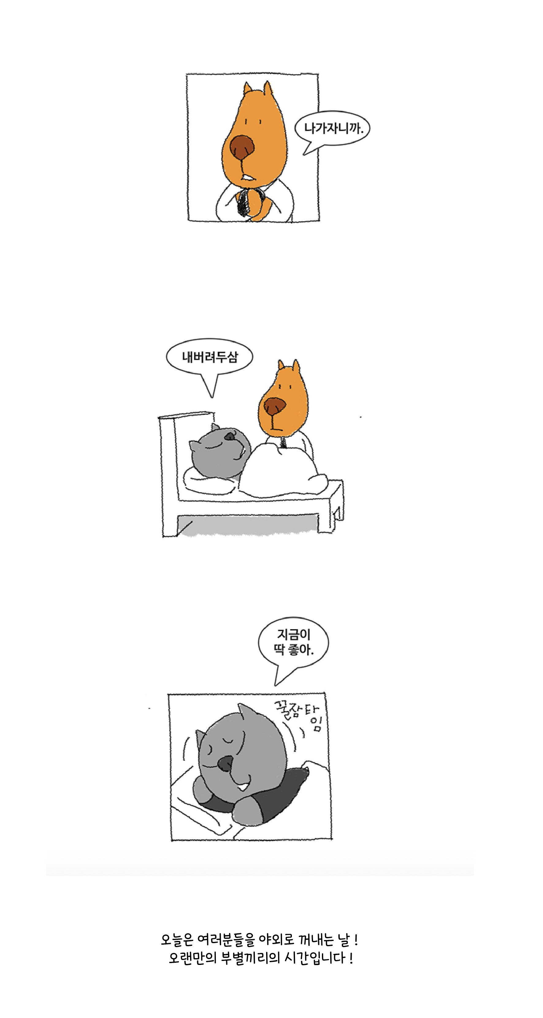 e50a192e75a88.png