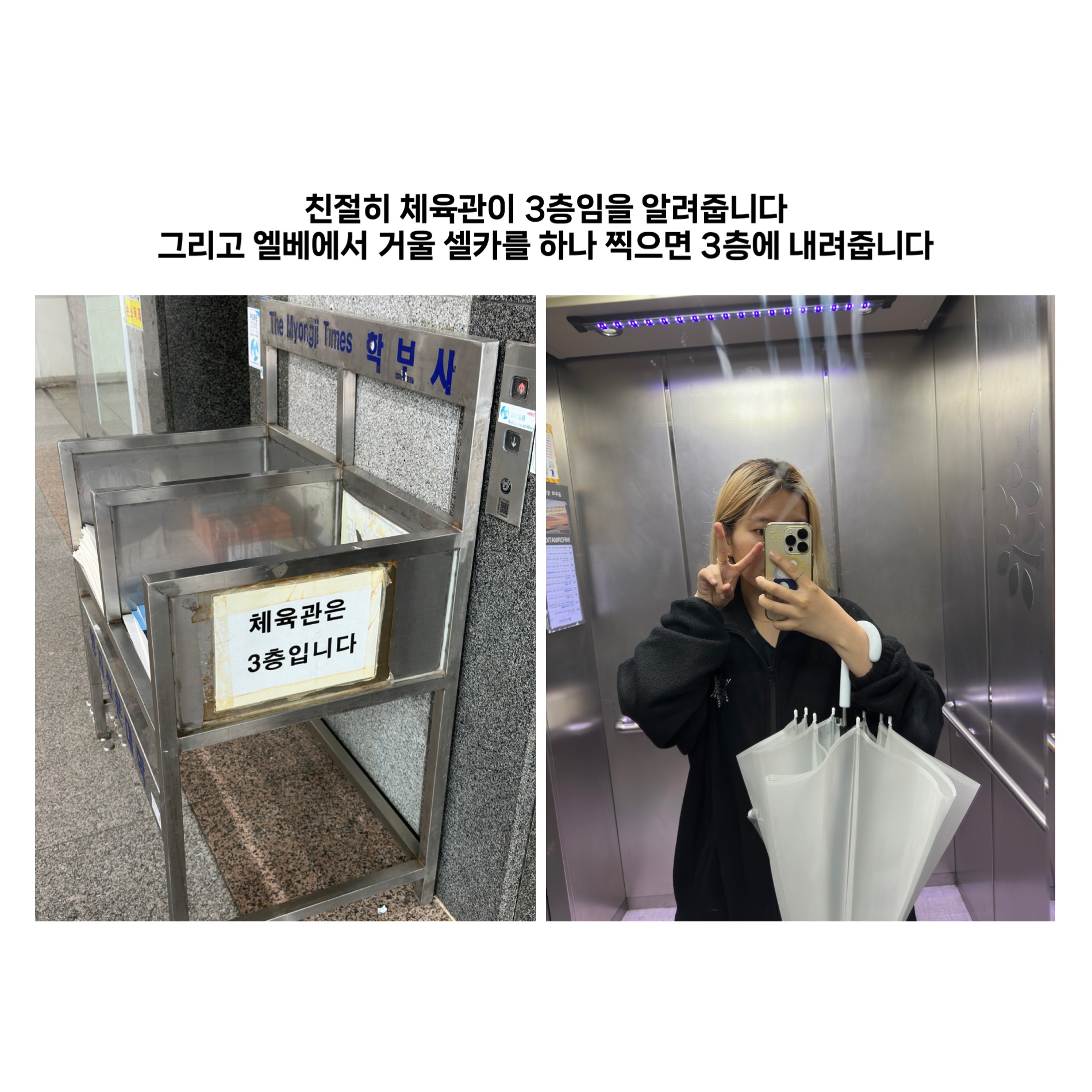 f9f7272316d52.jpeg