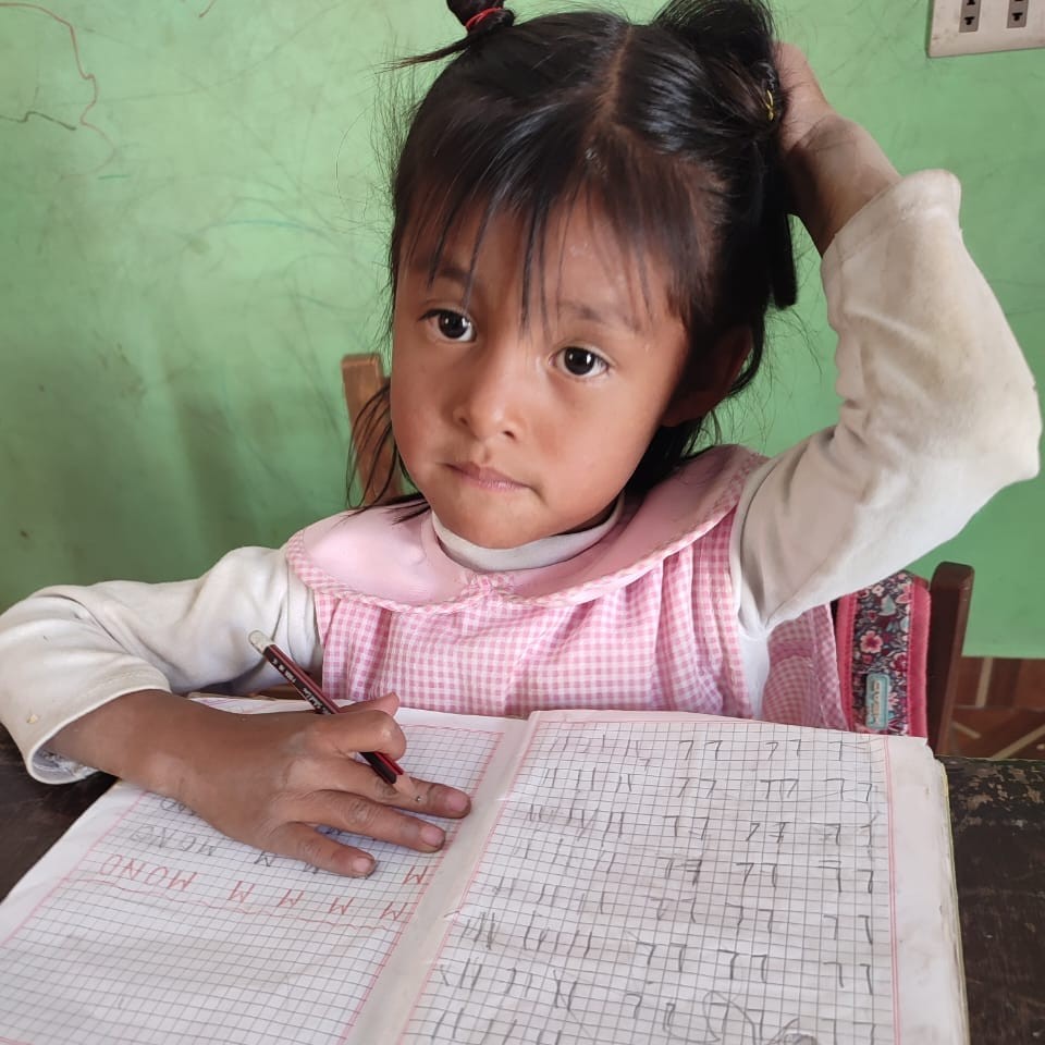 💚 지금 네이버 포인트/콩 기부해 주세요 : 국제구호단체 코인트리 | COINTREE