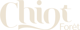Chiot Foret 씨오포레