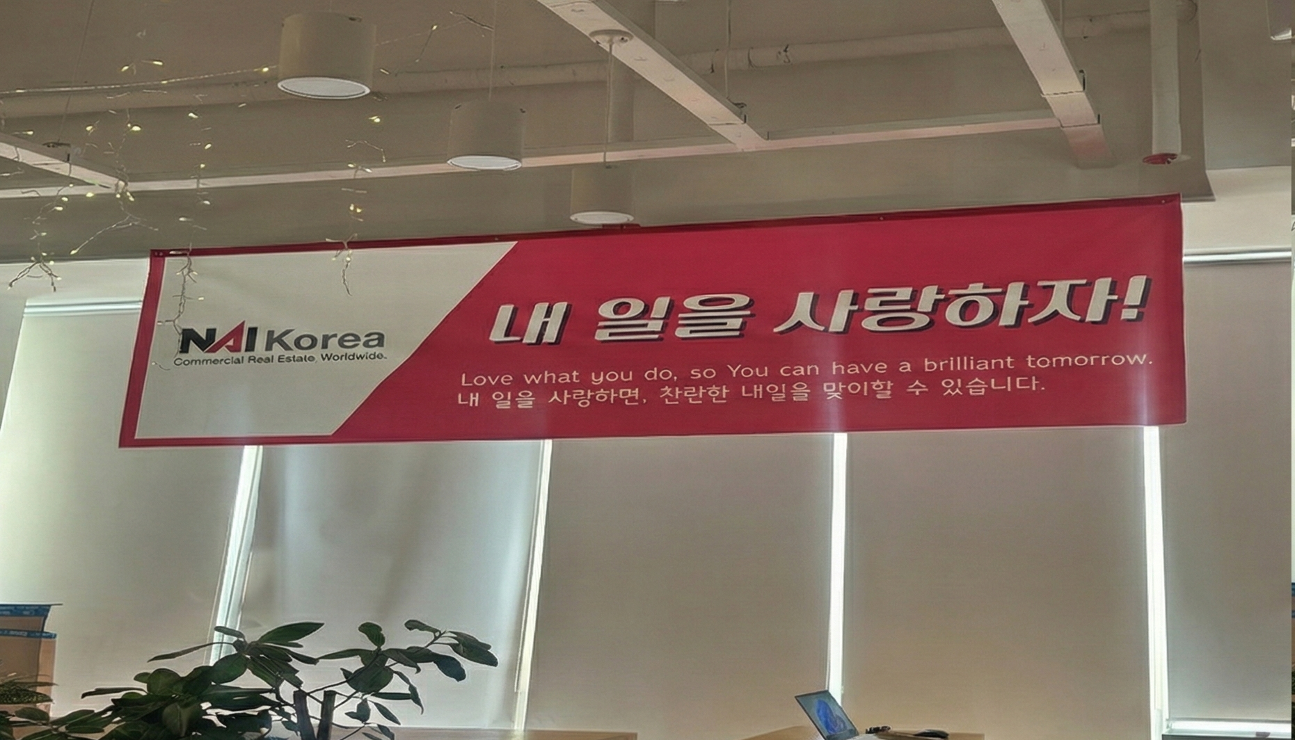 텍스트, 벽, 식물, 배너이(가) 표시된 사진  AI 생성 콘텐츠는 정확하지 않을 수 있습니다.