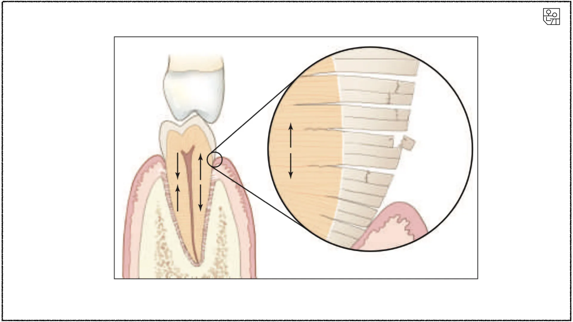 010088cef870c.png