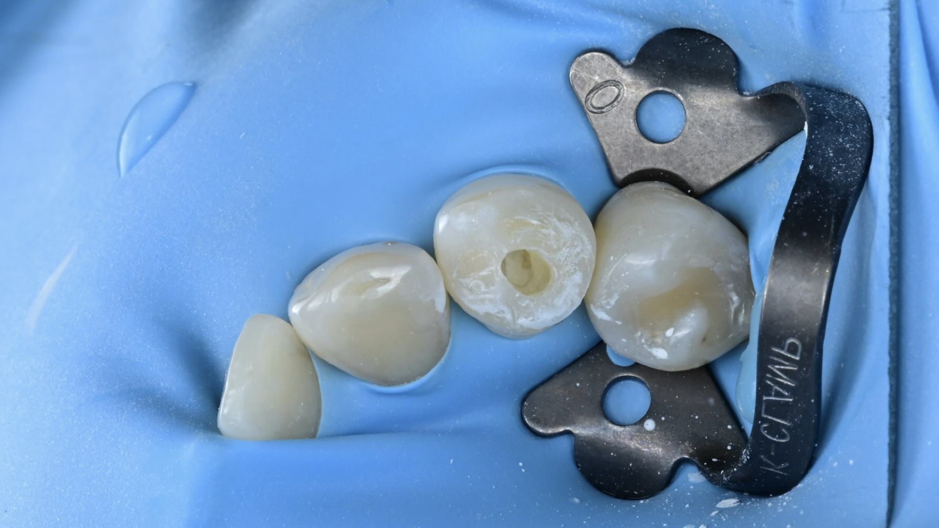 e8596dcf1580d.png